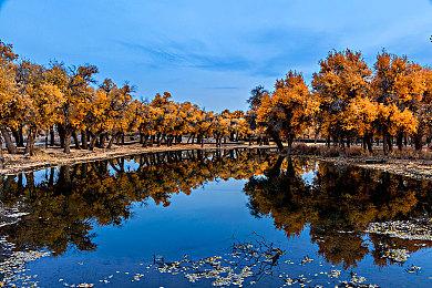 像素风即时战斗肉鸽卡牌游戏《突破重围》抢先体验版现已上线